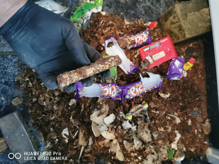 Rats in Great Harwood.....