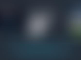 Wasp Nest Treatment Specialists for Burnley and East Lancashire......