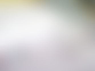 BRC Pest Control Lancashire - SALSA Pest Control Lancashire - Audited Pest Control Lancashire.