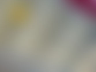 Failed Bird Netting Systems in Lancashire.....