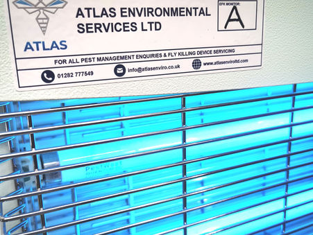 Pest Management Services in Burnley and Lancashire. Pest Control BRC Burnley - Audited Pest Control