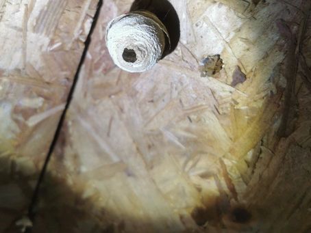 Newly Formed Wasp Nest Treated and Removed from Padiham....