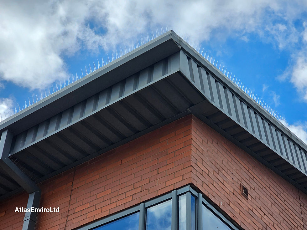 BIRD PROOFING SERVICES IN LANCASHIRE - ATLAS ENVIRONMENTAL SERVICES LTD......