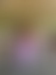 Tropical Sri Lanka: Ancient Cities, Scenic Hills and Golden Beaches 