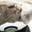 Thumbnail: Stillborn Guinea Pigs | Wet Specimen | 80mm Glass Dome + Base #1