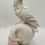 Thumbnail: White Crow Skull & Rose Decorative Piece 