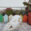 Thumbnail: Fallow Doe Skull | B Grade | Roadkill From S.A.