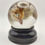 Thumbnail: Wet Specimen Chick | 65mm Glass Dome 