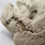 Thumbnail: Vintage Taxidermy Lamb | *Slight Damage 