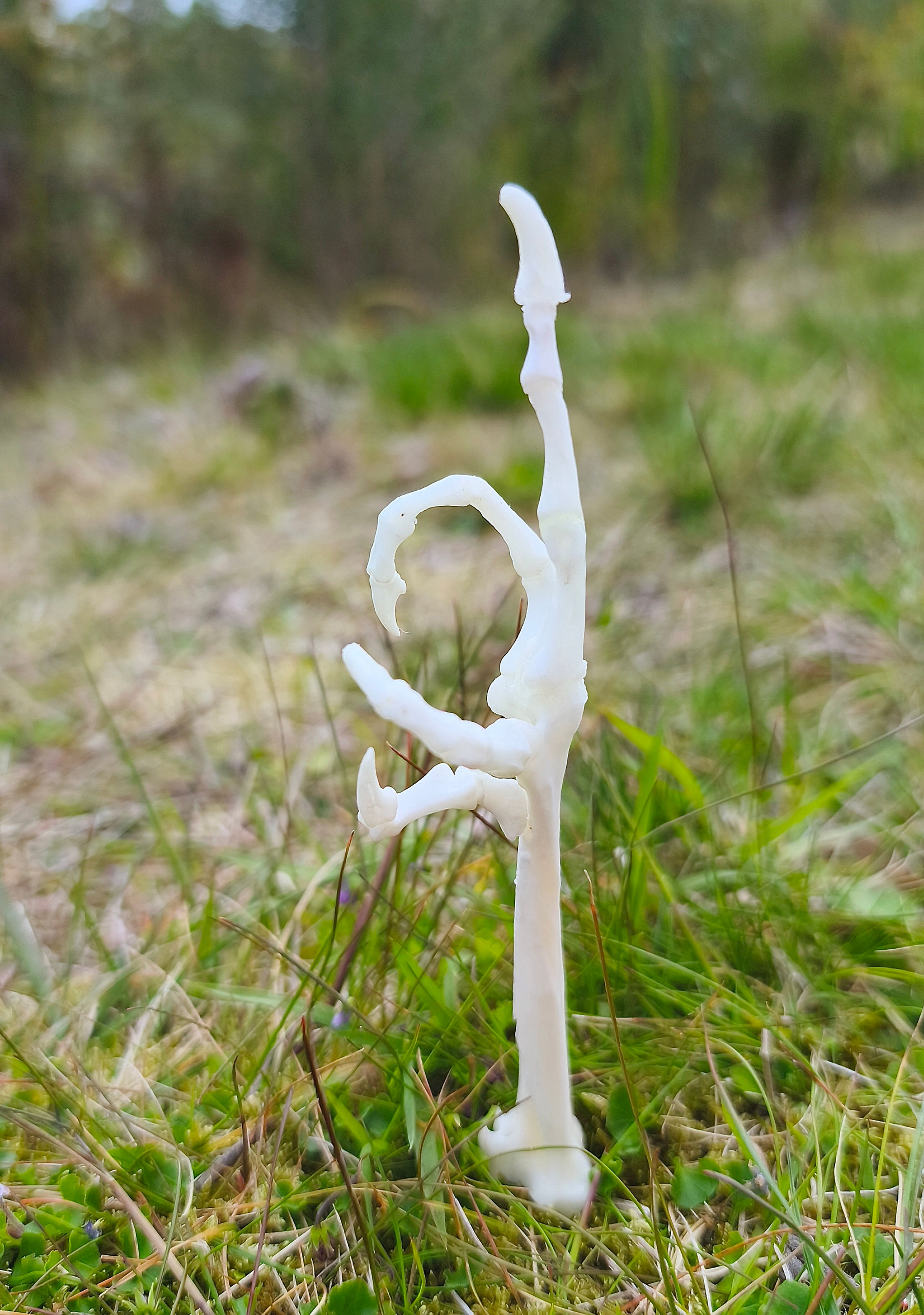 The Bird | Chicken Foot Skeleton Rude Finger 