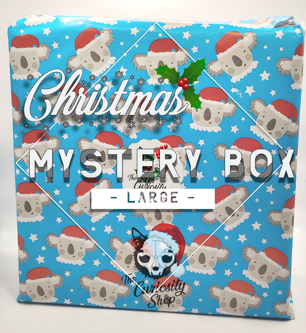 LARGE CHRISTMAS CLEARANCE ODDITIES MYSTERY BOX RRP $350