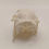 Thumbnail: Craft Skull (B) Grade Guinea Pig 