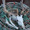 Thumbnail: Fallow Buck In Velvet 