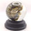 Thumbnail: CLEARANCE Pretty Bantam Chick | Wet Specimen | 65mm Glass Dome With Black Base