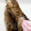 Thumbnail: Muskrat Sleeve Pelt | South American Import 