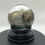 Thumbnail: Cute Mouse (Male) | Wet Specimen | 65mm Glass Dome