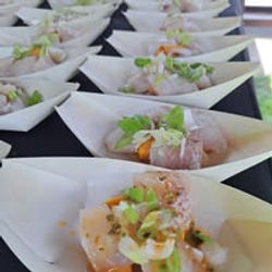 474594754_1566720994071275_7063666943770240584_n