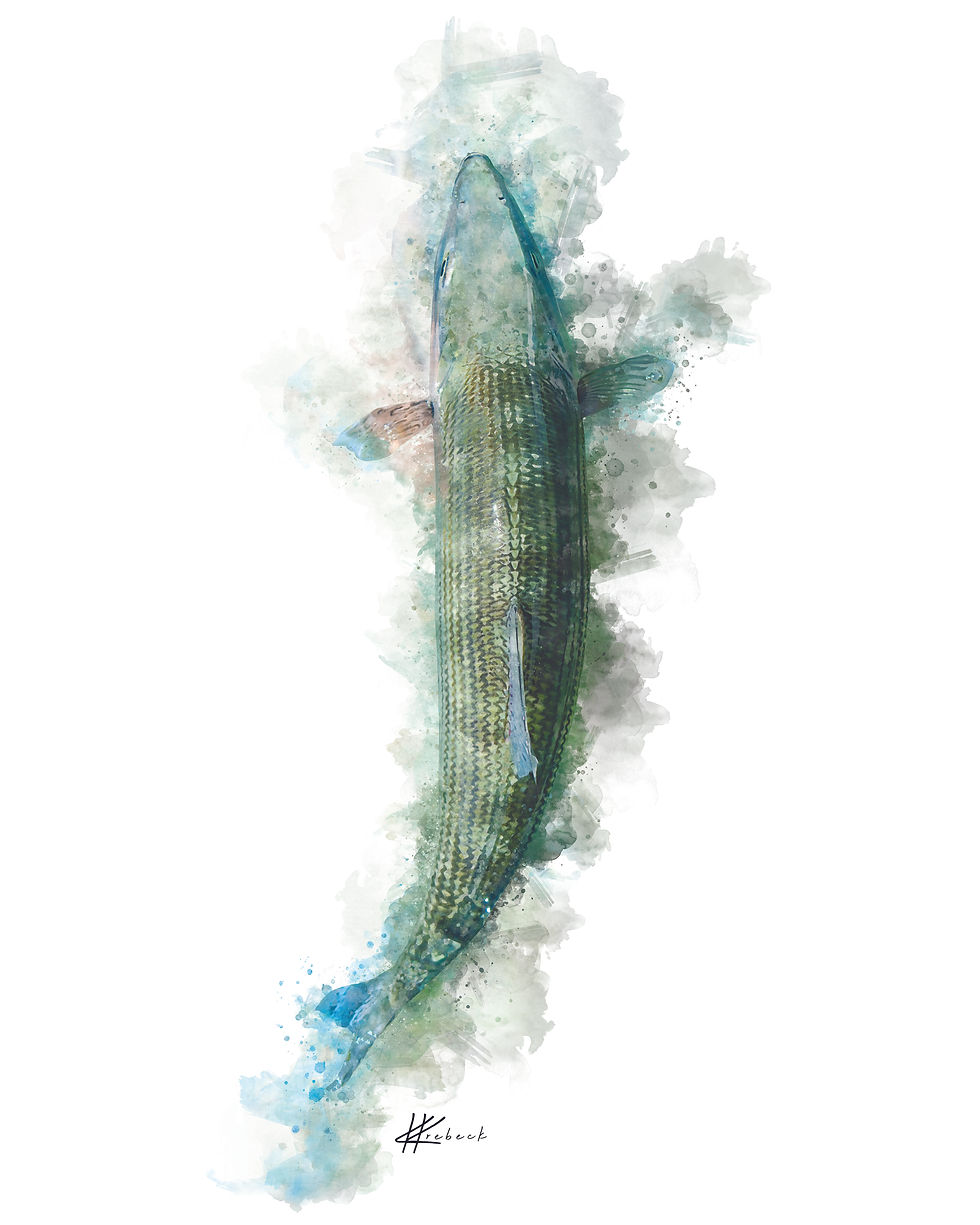 Thumbnail: Women's UPF 50+ PROTECHT™  V-Neck Long Sleeve - Bonefish