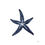 Thumbnail: "SHIBORI STARFISH"