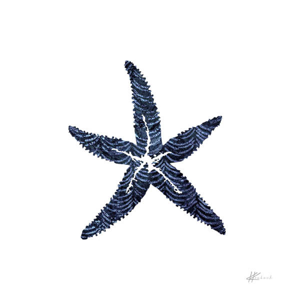 Thumbnail: "SHIBORI STARFISH"