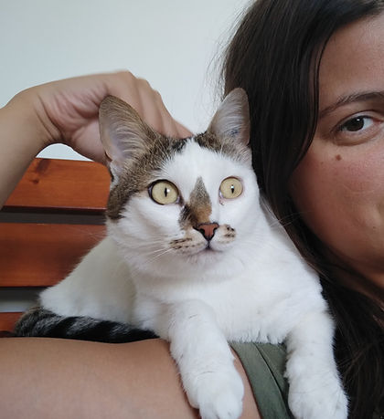 Gros câlin avec l'un de nos pensionnaires félins