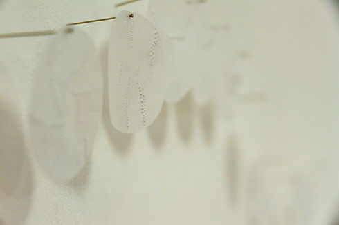 DSC_0299.jpg