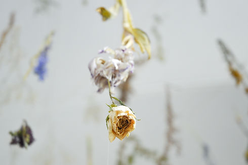 Sophie Erin Cooper - Floating Garden-5-3