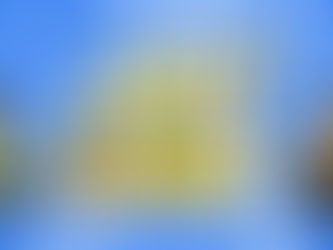 メガシャキ‼️