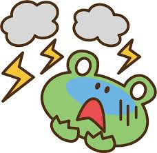 こんにちはー♩