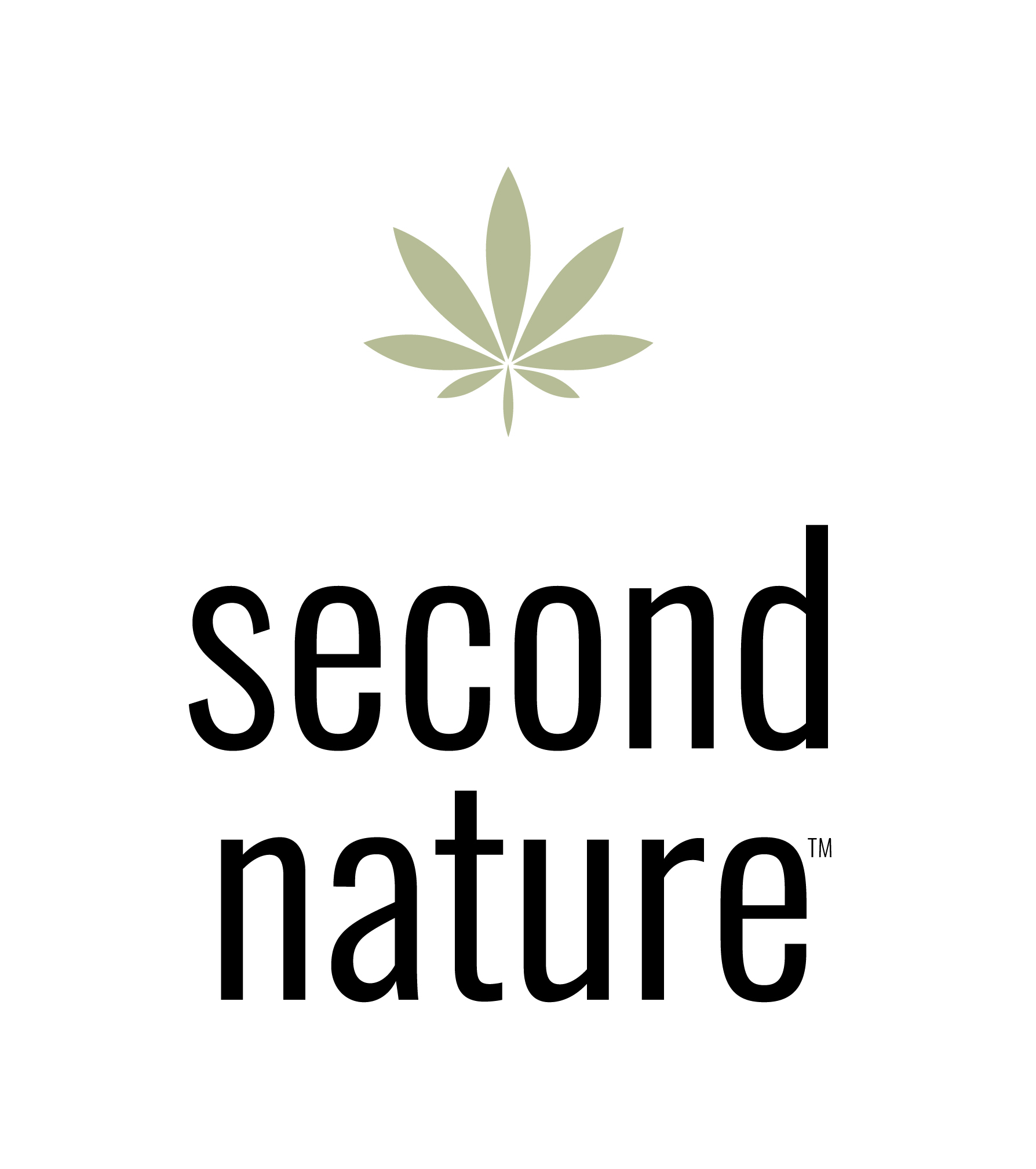 logo.gif
