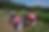 Groundbreaking of the Balai' Amianian