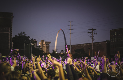 LIFE IN COLOR STL