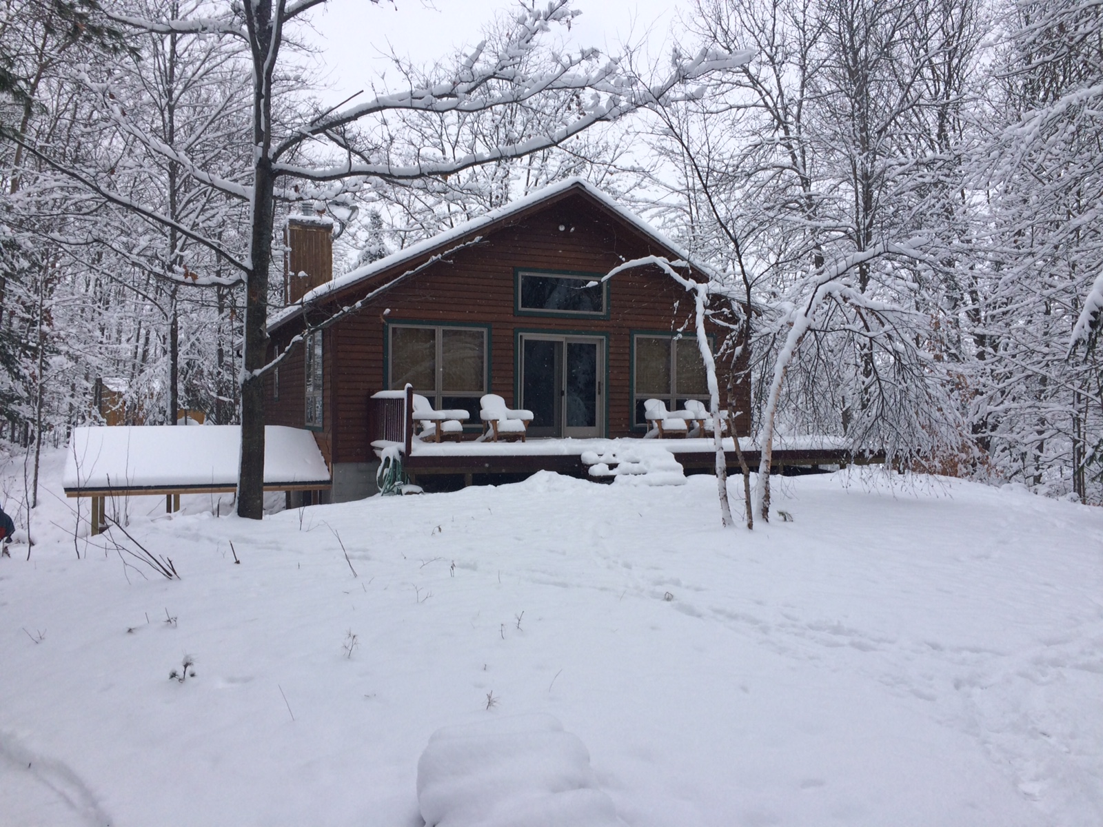 Cozy Cottage