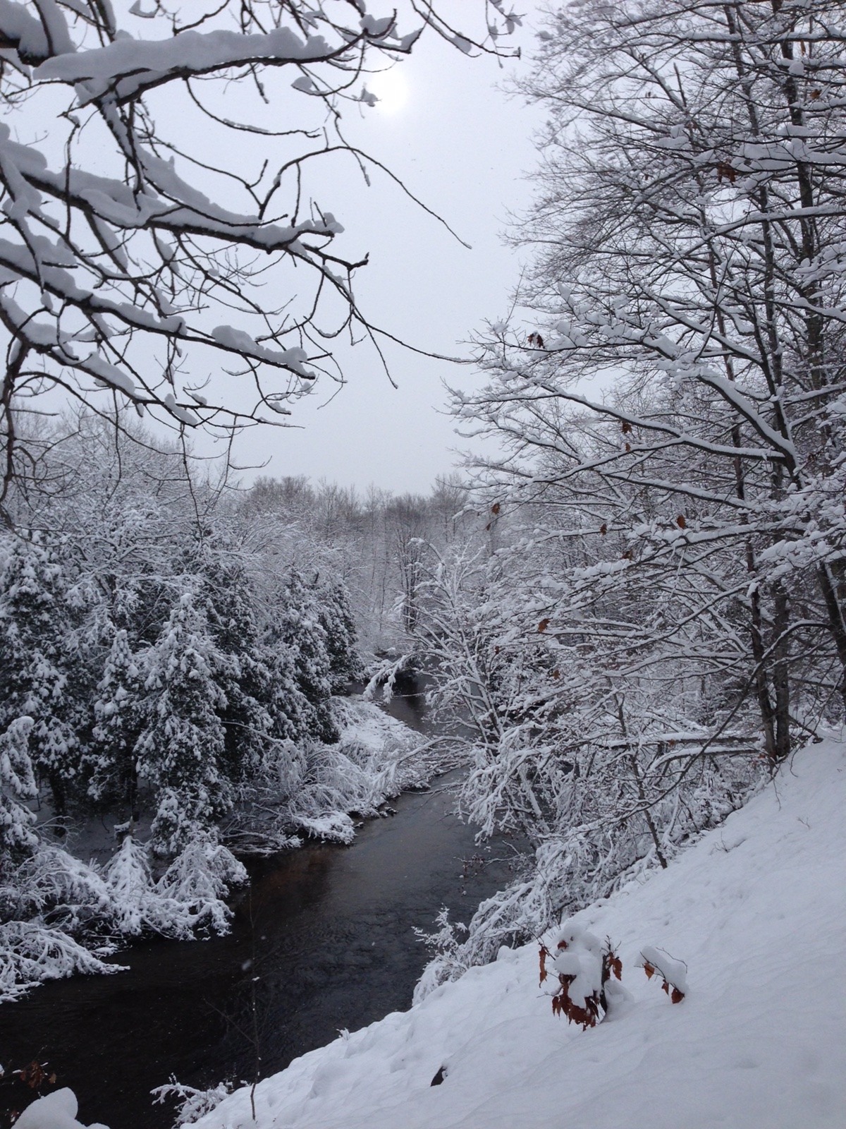 The Icy Cold Betsie River