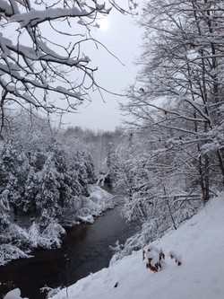 The Icy Cold Betsie River