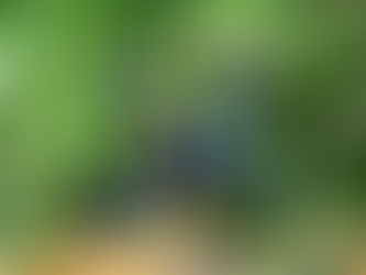 あゝ宝くじ  ～夢の値段と現実～