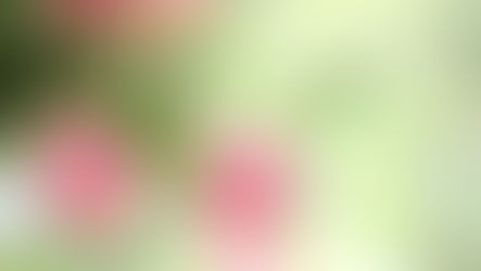 ちょっと不思議…… 地球に巻いた鉢巻