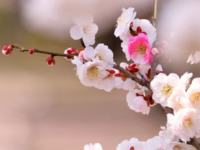 遊びながら球の表面積を確認しよう