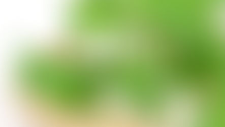 続・点竄術(てんざんじゅつ)