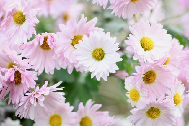 方陣よりも簡単!? 三角形のパズル