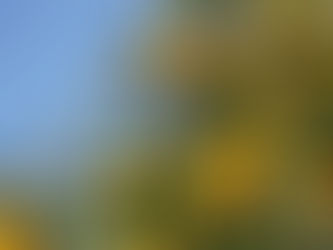 方陣よりも簡単!?  三角形のパズル（その２）