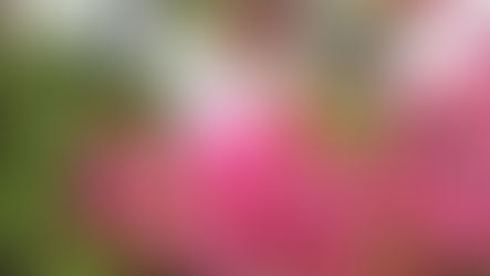 三平方の定理を導こう（その１）