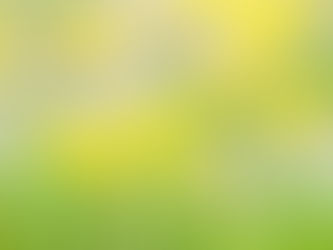 春の花・たんぽぽ