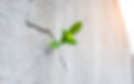 iStock-1080117220.jpg