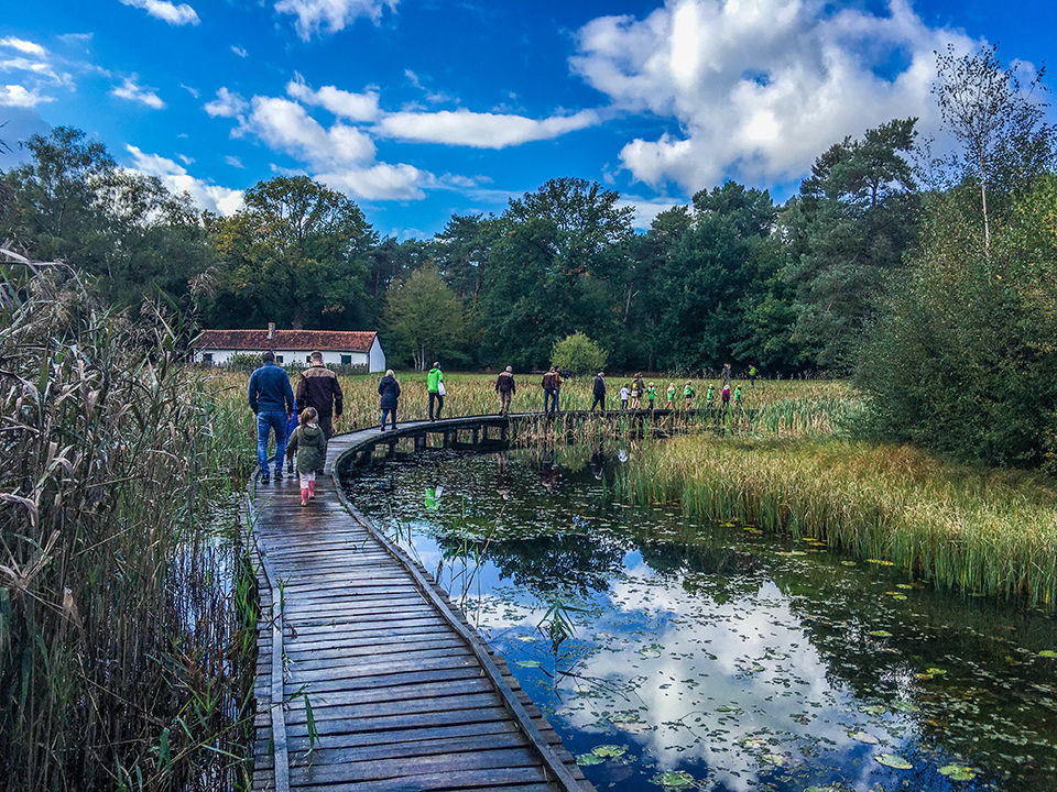 en tussen het riet in Kelchterhoef