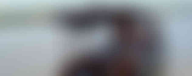 Un conducteur qui connaît bien le trajet.