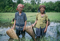 Les paysans de la campagne