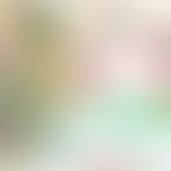 <大痲園管理日誌> 2023/1/17