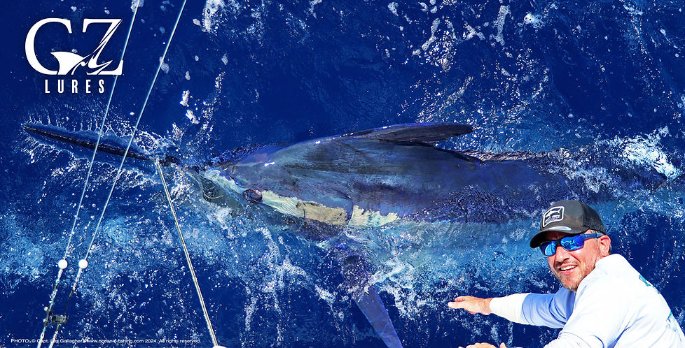 Blue marlin Azores