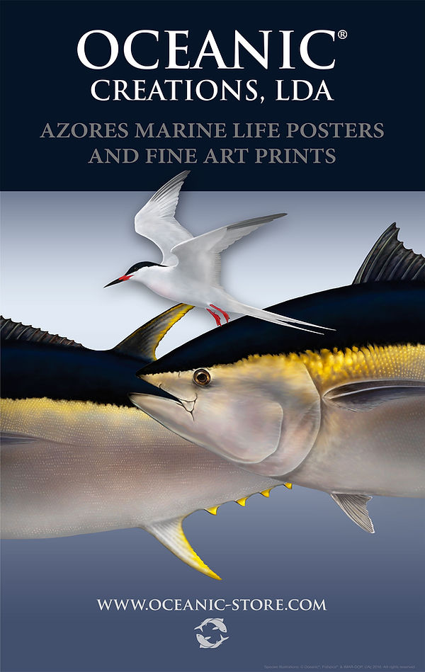 azores oceanic store sign 